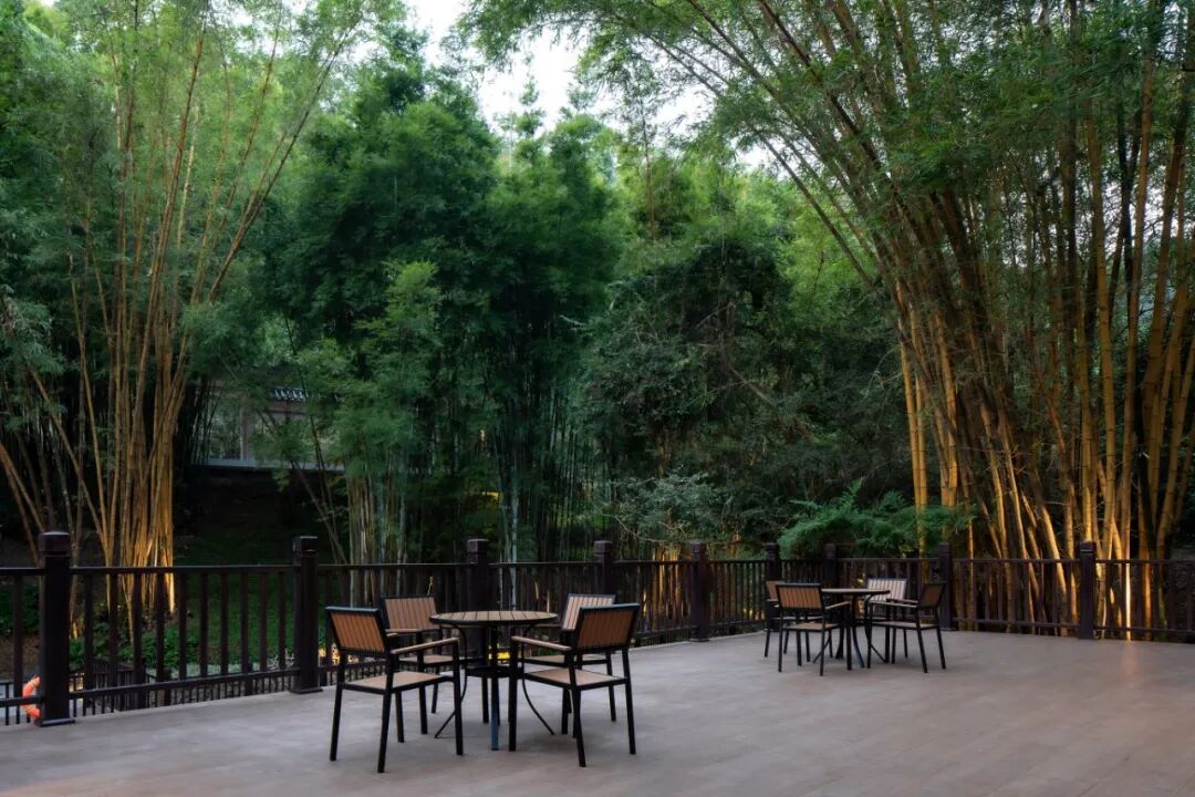 广东温泉宾馆松园一号户外园林景观改造工程丨中国广州-40