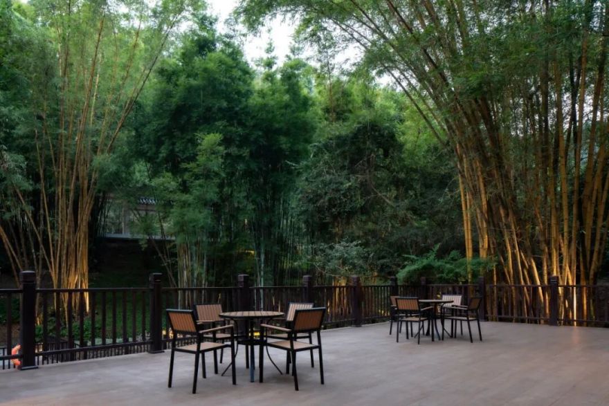 广东温泉宾馆松园一号户外园林景观改造工程丨中国广州-40