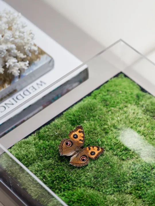 东原启城丨中国绵阳丨则灵艺术-32