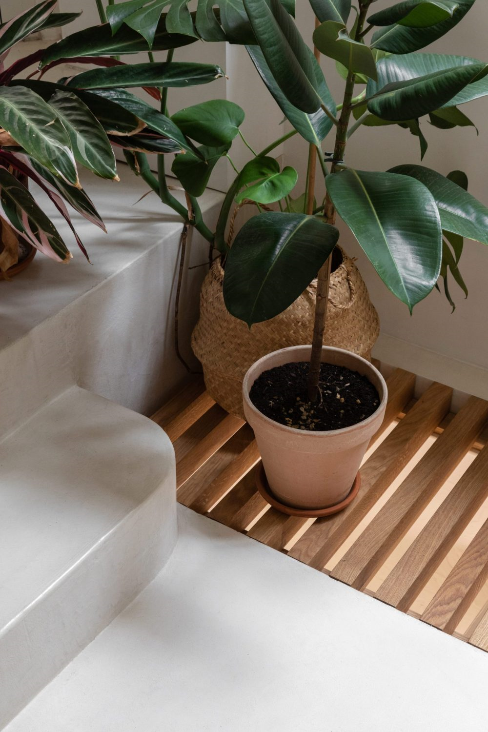 莱马里·古尔东工作室-20