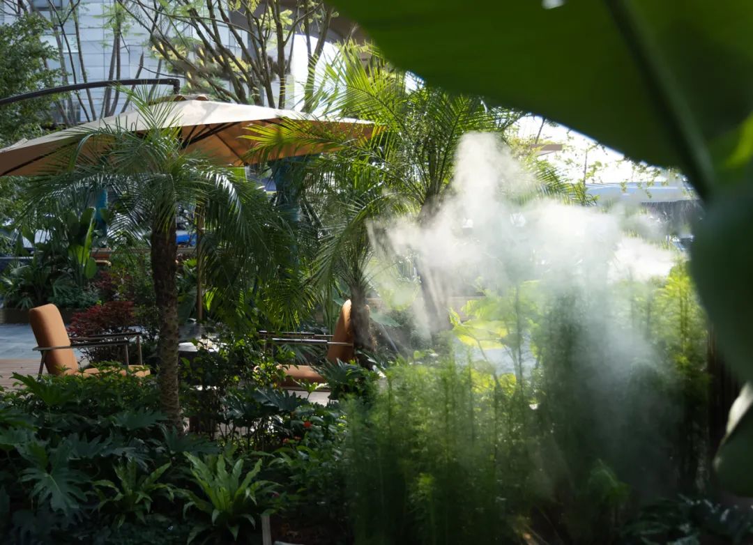 夏日雨林 | 成都德桦·御湖和境-43