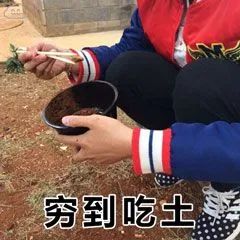 双十一星杰爱家日，为单身汪发红包-5