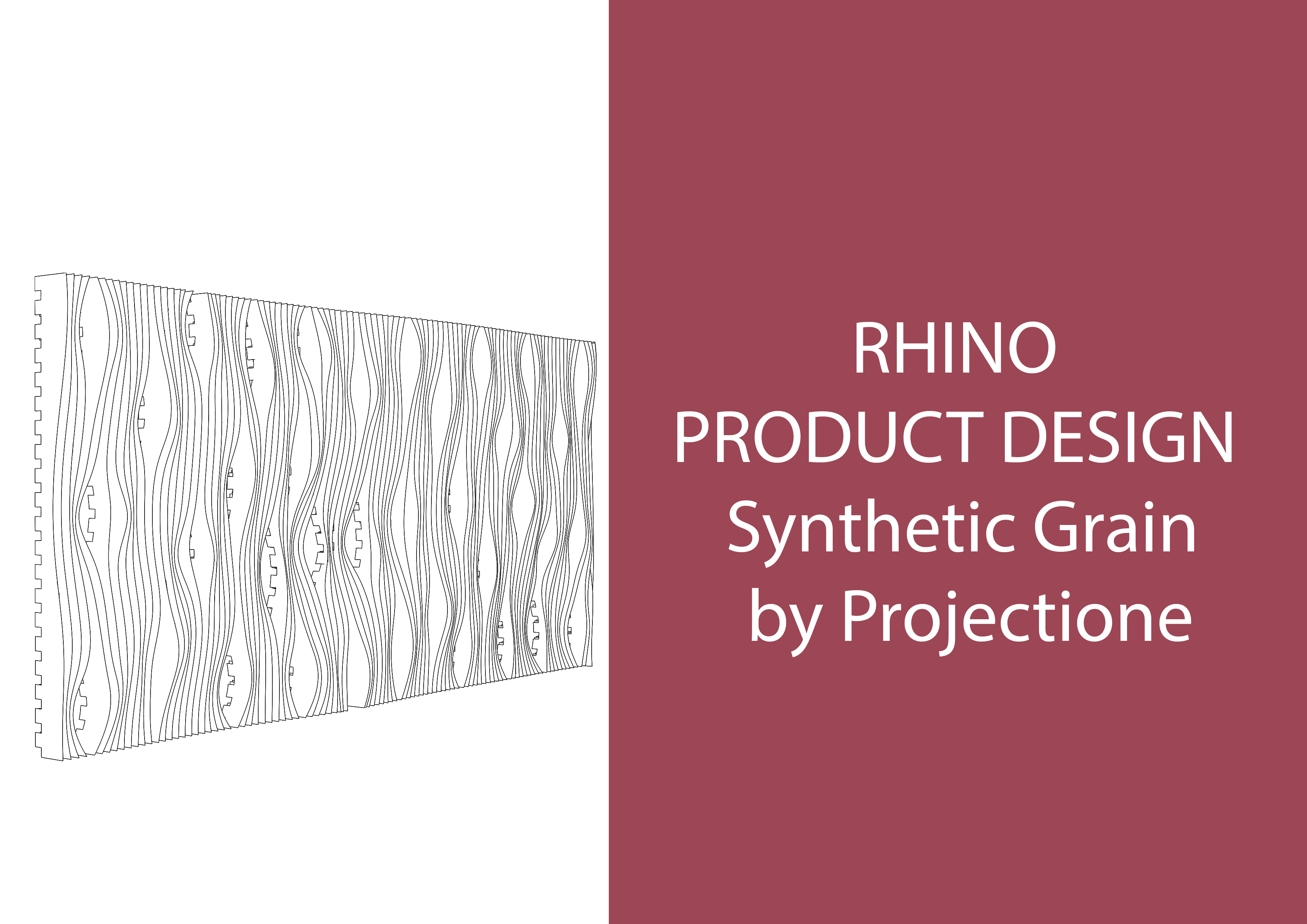 Rhinoceros portfolio-16