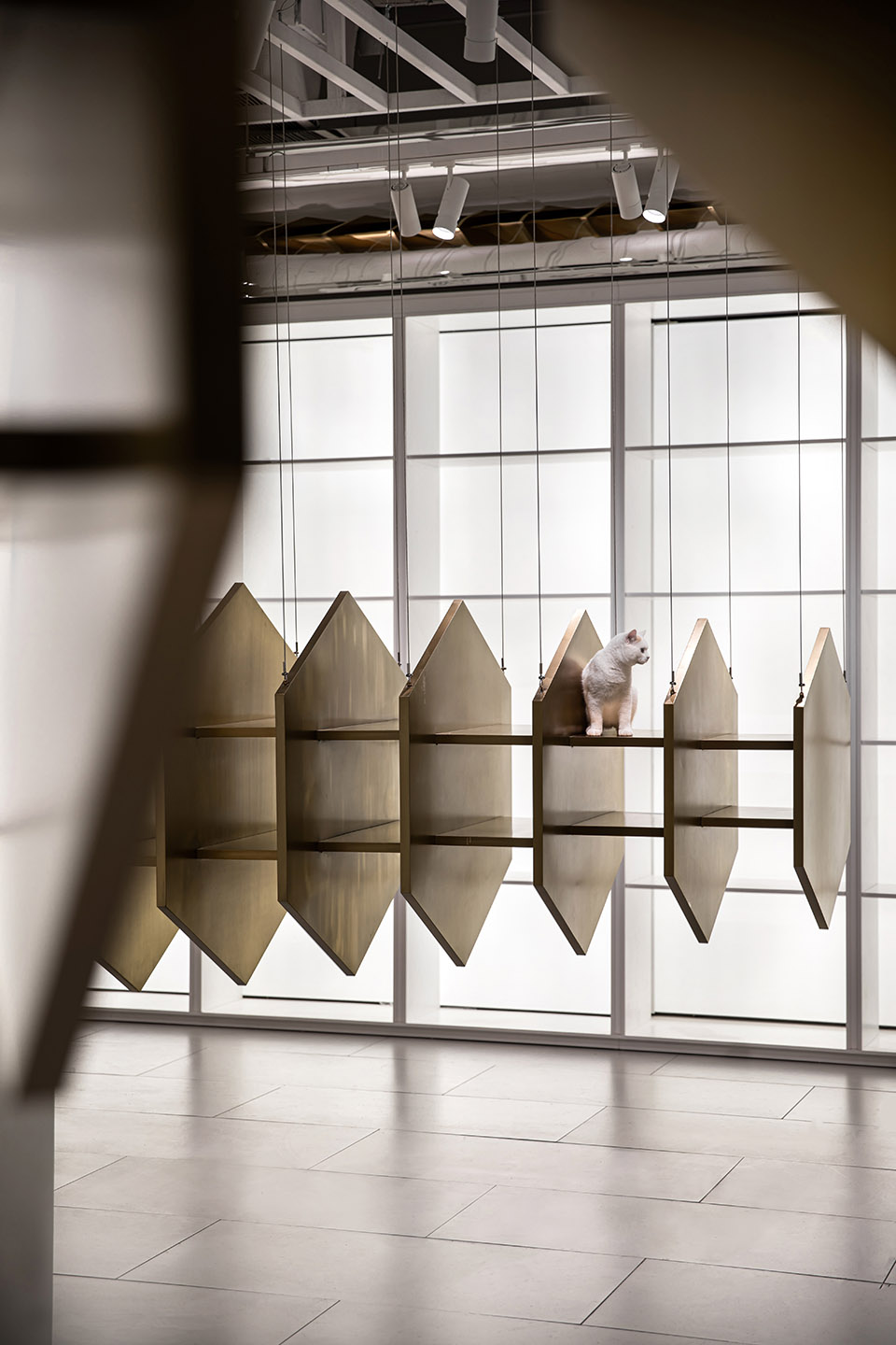 杭州三只尾巴 – pidan线下品牌体验店-45