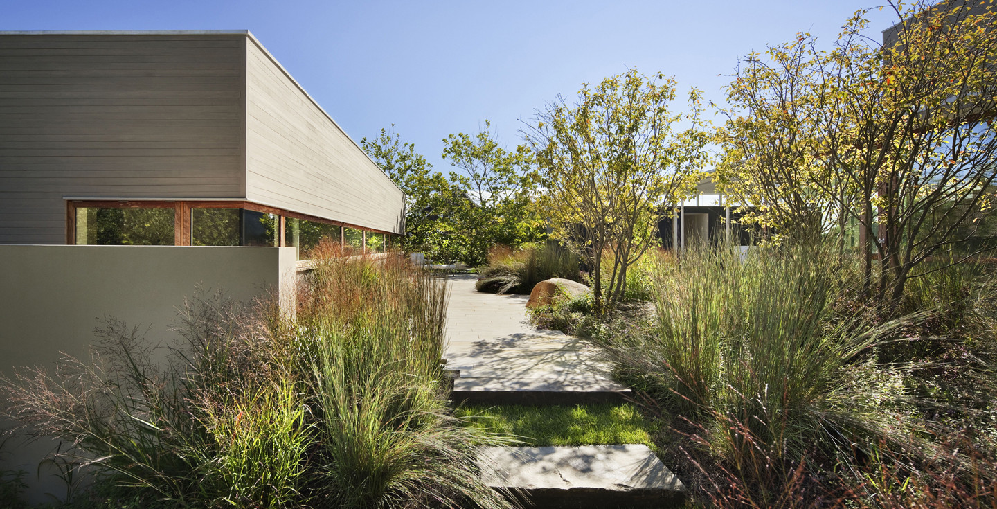 自然的海滨住宅蒙托克surfside residence montauk by Rees Roberts & Partners-3