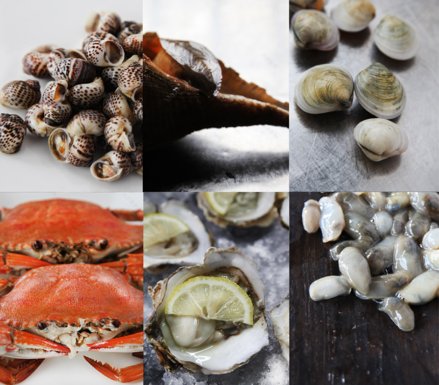 顺风楼海鲜馆,温州 / TOPOS DESIGN-120