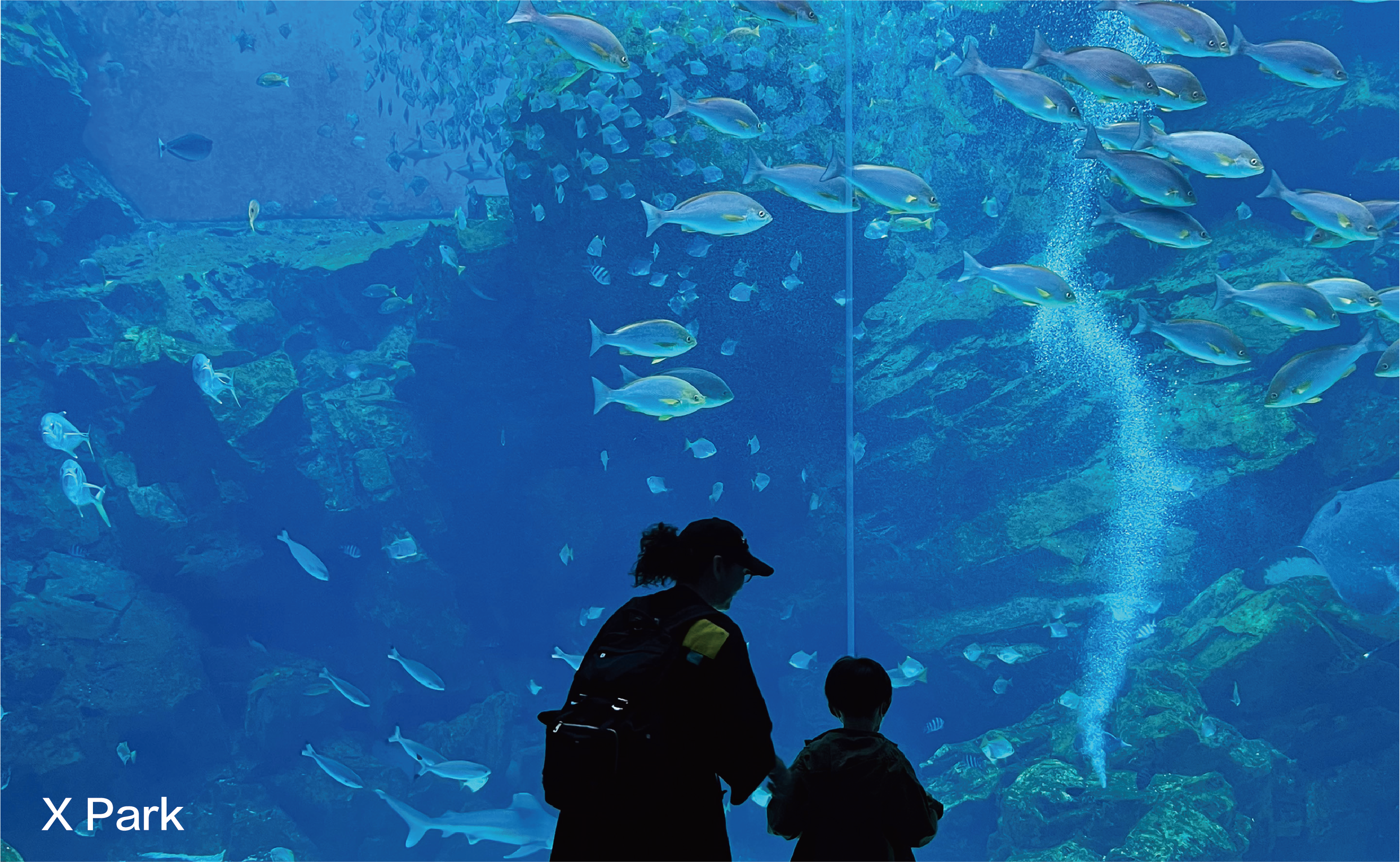 京懋敦和丨P&T巴馬丹拿集團-12