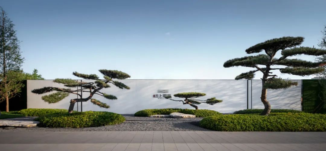 松林浪屿，海岸逐光丨青岛 · 云上观海-45