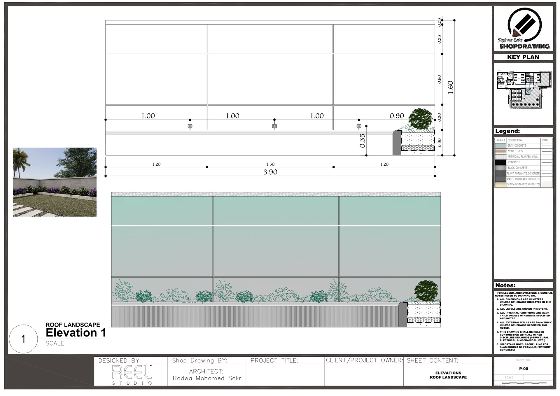 Shop Drawing For Roof Landscape-11