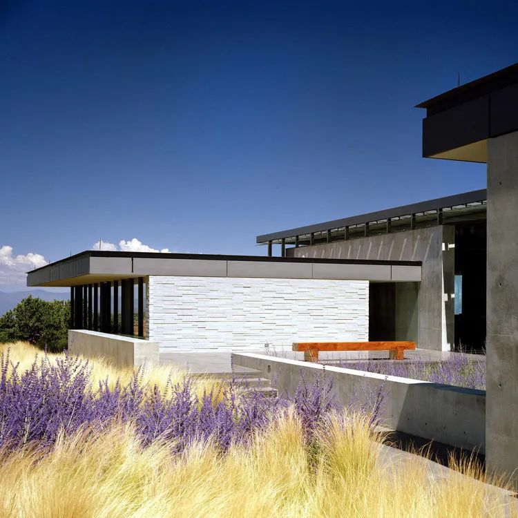 Austin Residence 奥斯汀公寓丨美国奥斯汀丨Studio DuBois-32