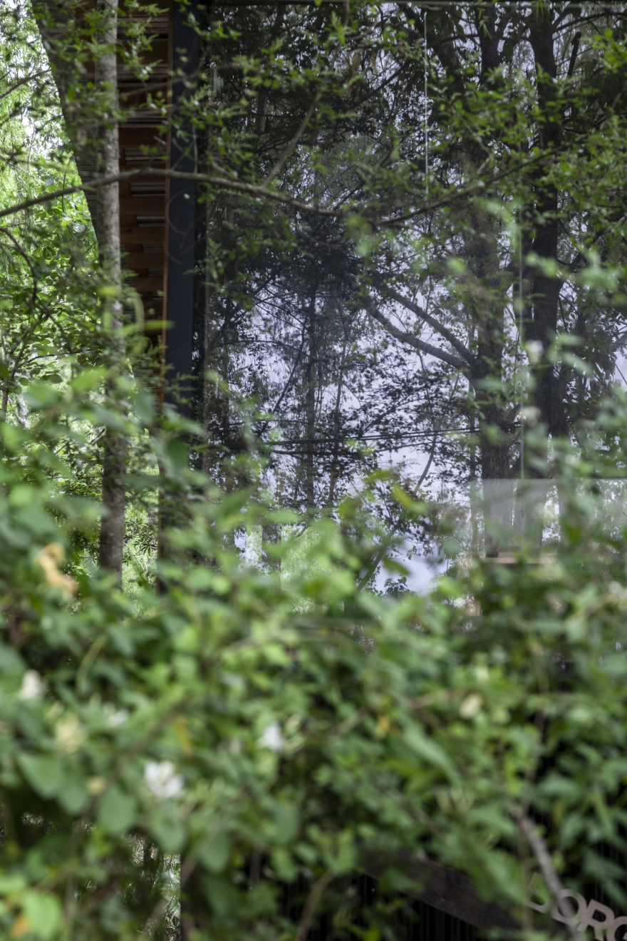 House in Delta Buenos Aires / Matías Cosenza Arquitecto-30