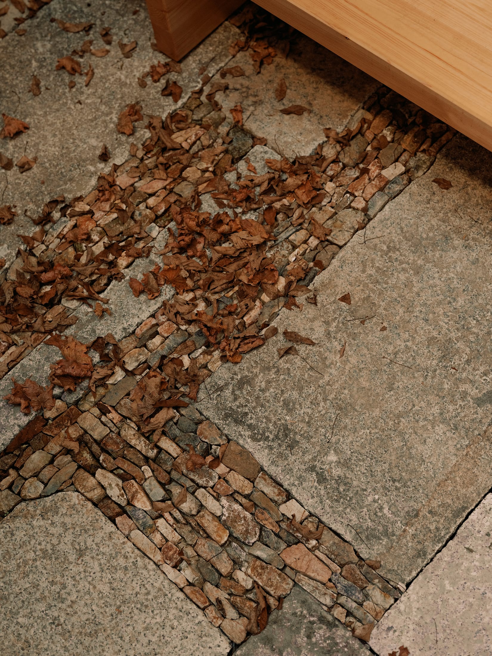 京都人工生命研究所研究实验室改造丨日本京都丨Nice Projects-52