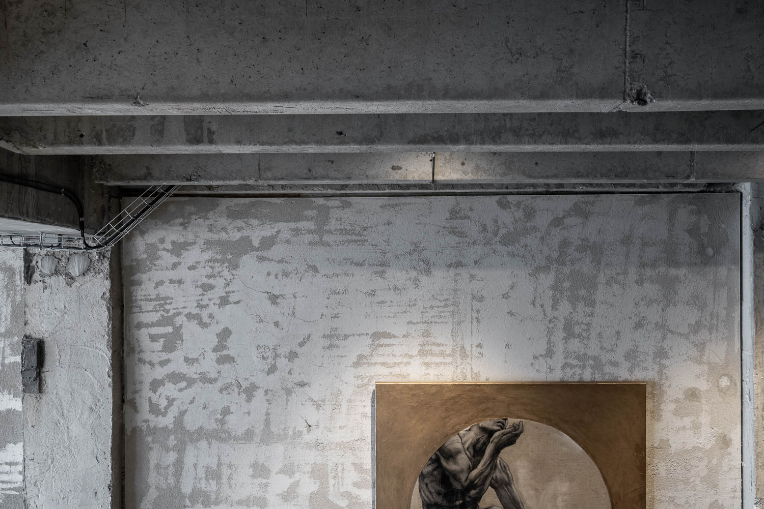 VANGUARD 之家丨捷克丨OOOOX-7