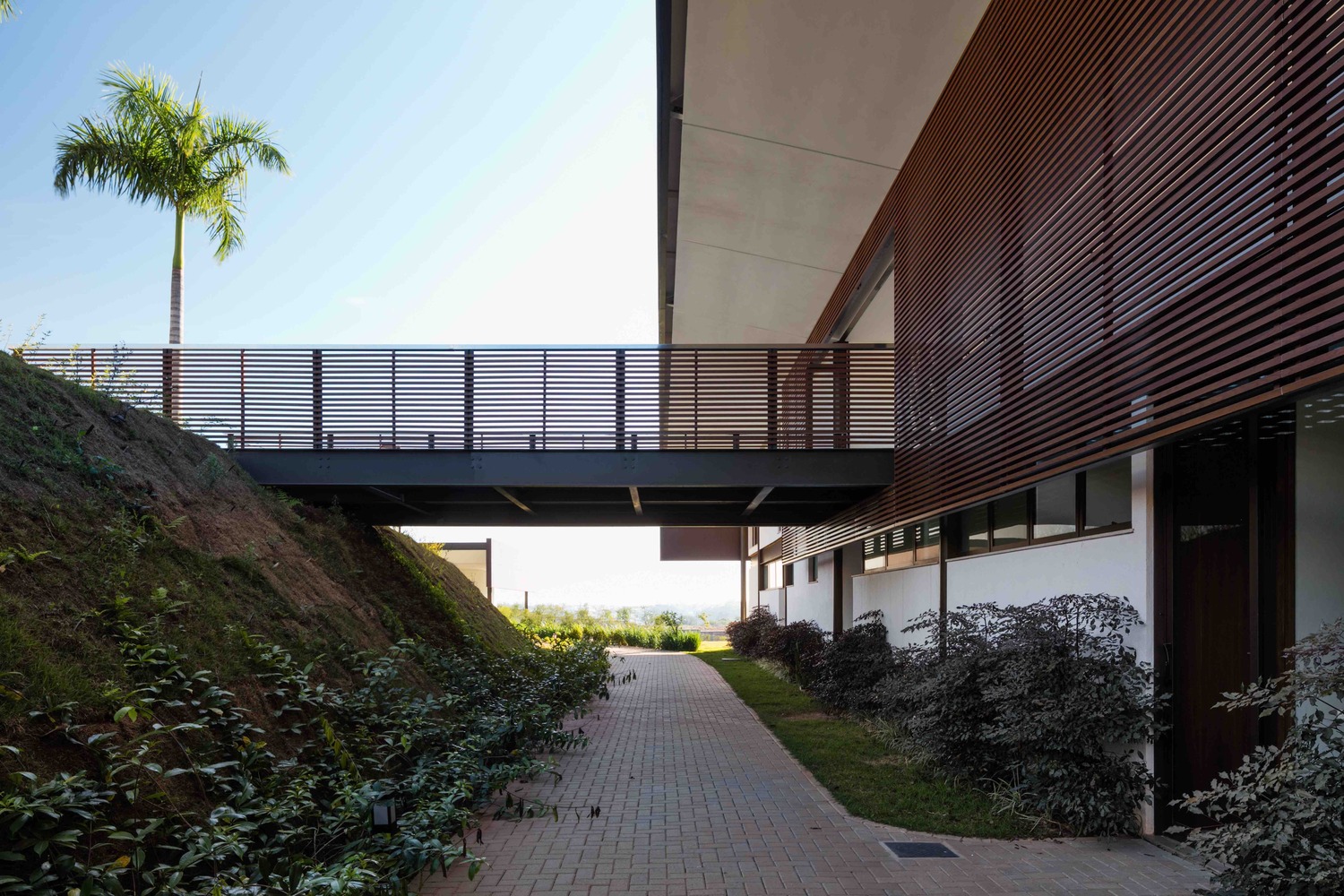 巴西自然景观中的社交俱乐部总部-33