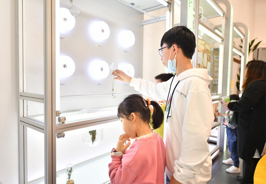 杭州天目里绿色嘉年华「森林里」丨中国杭州丨蚂蚁森林,杭州天目里,不是美术馆-30