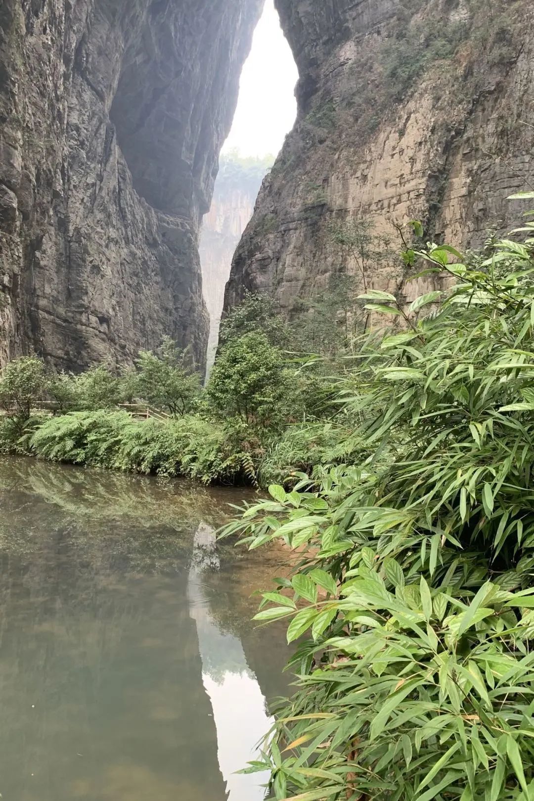 重庆亦行 · 融合自然与人文的景观设计之旅丨中国重庆丨亦境景观院-23