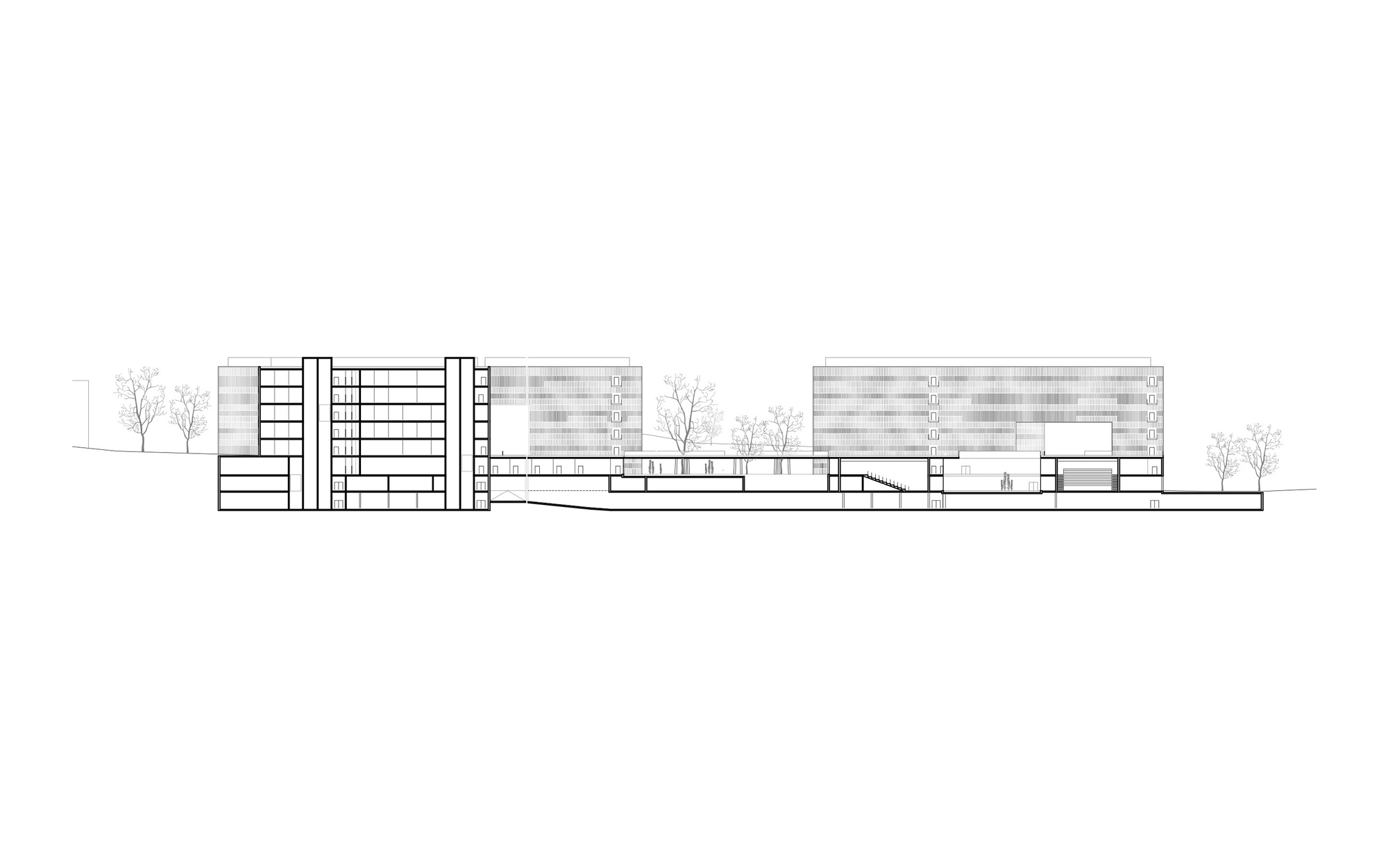 格拉茨医科大学园区丨奥地利丨Riegler Riewe Architekten-36