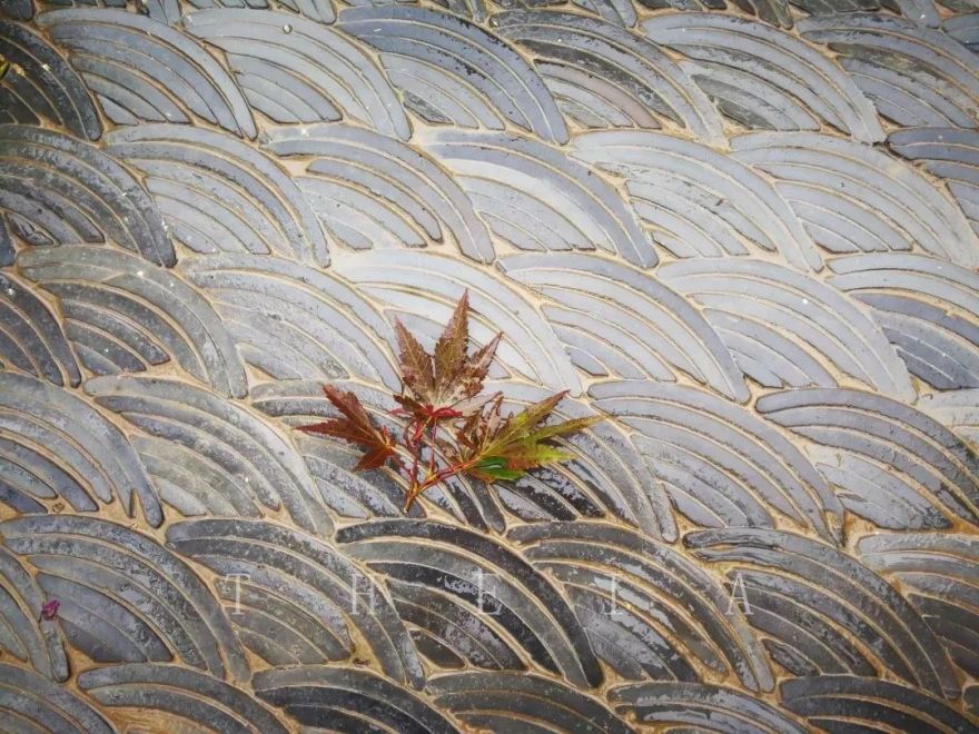 甬上情缘 | 十里红妆的园林艺术-79