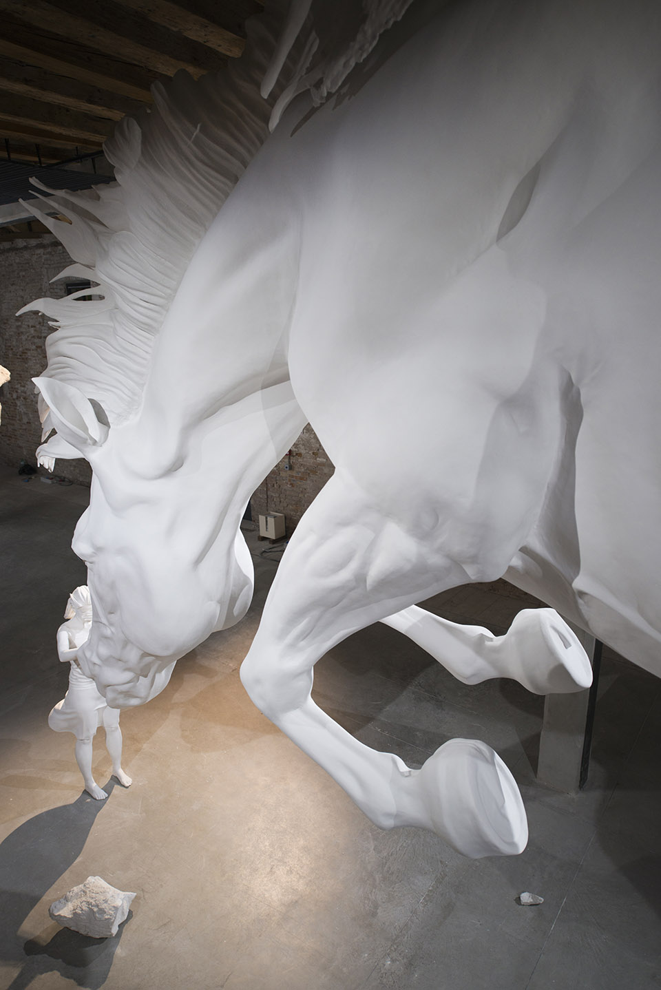 问题之马 / Claudia Fontes-6