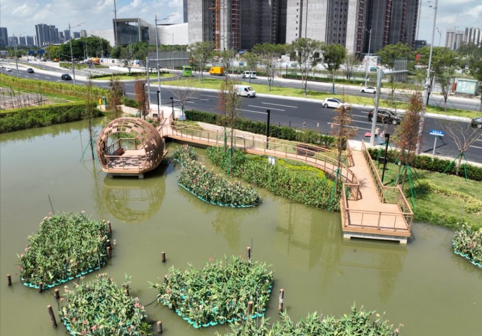 设计大师走进校园，共话凤凰大道调蓄塘ESG实践：打造城市“水心脏”防汛新标杆-29