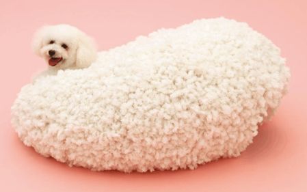 国际爱犬日特别策划 | 创意犬屋设计大赏-37