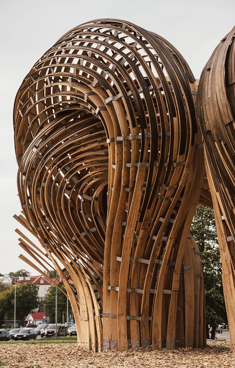 2019 塔林建筑双年展“Beauty Matters”探讨美学体验-25