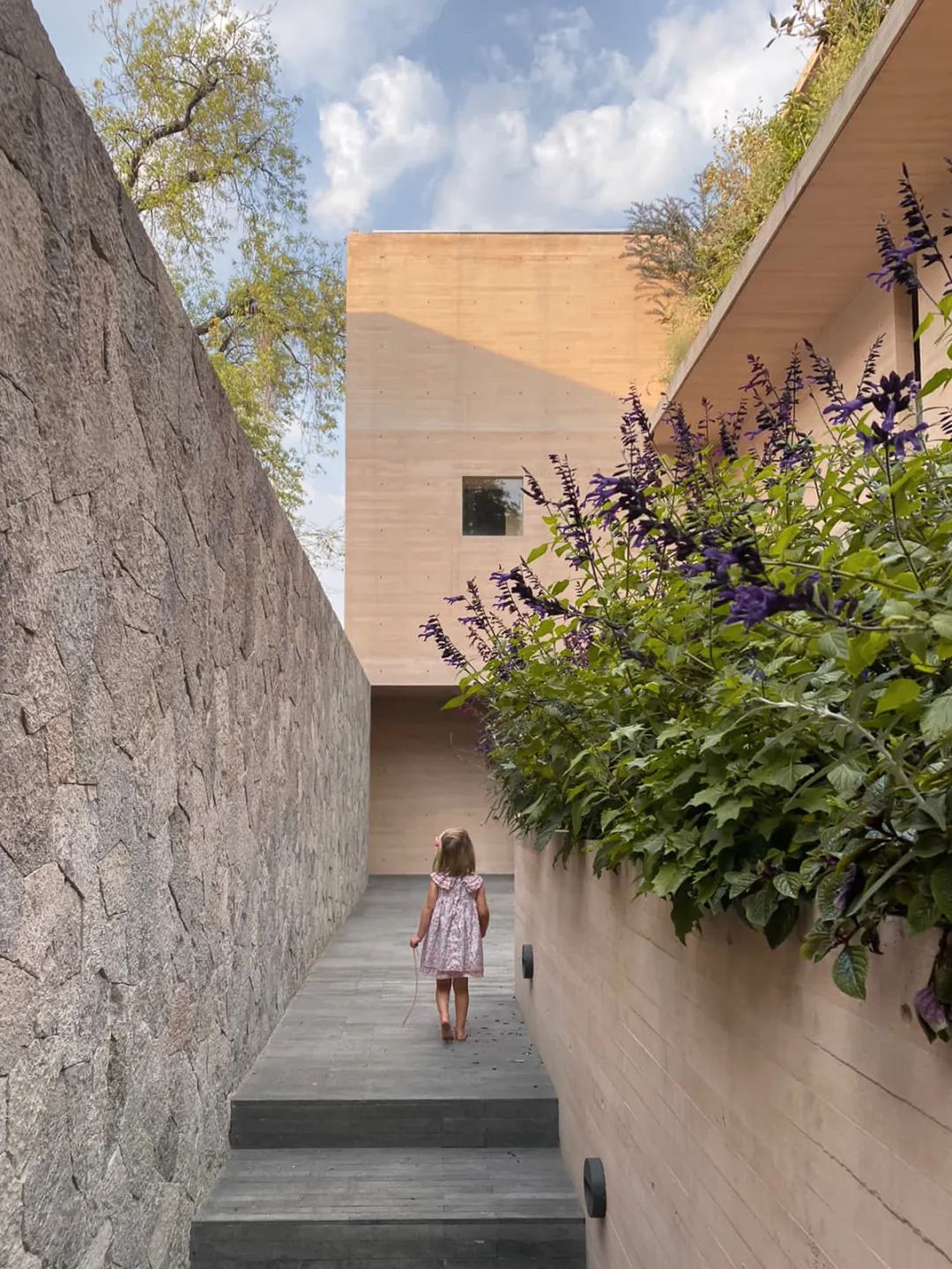 特霍科特之家丨墨西哥丨Gonzalez Muchow Arquitectos-43