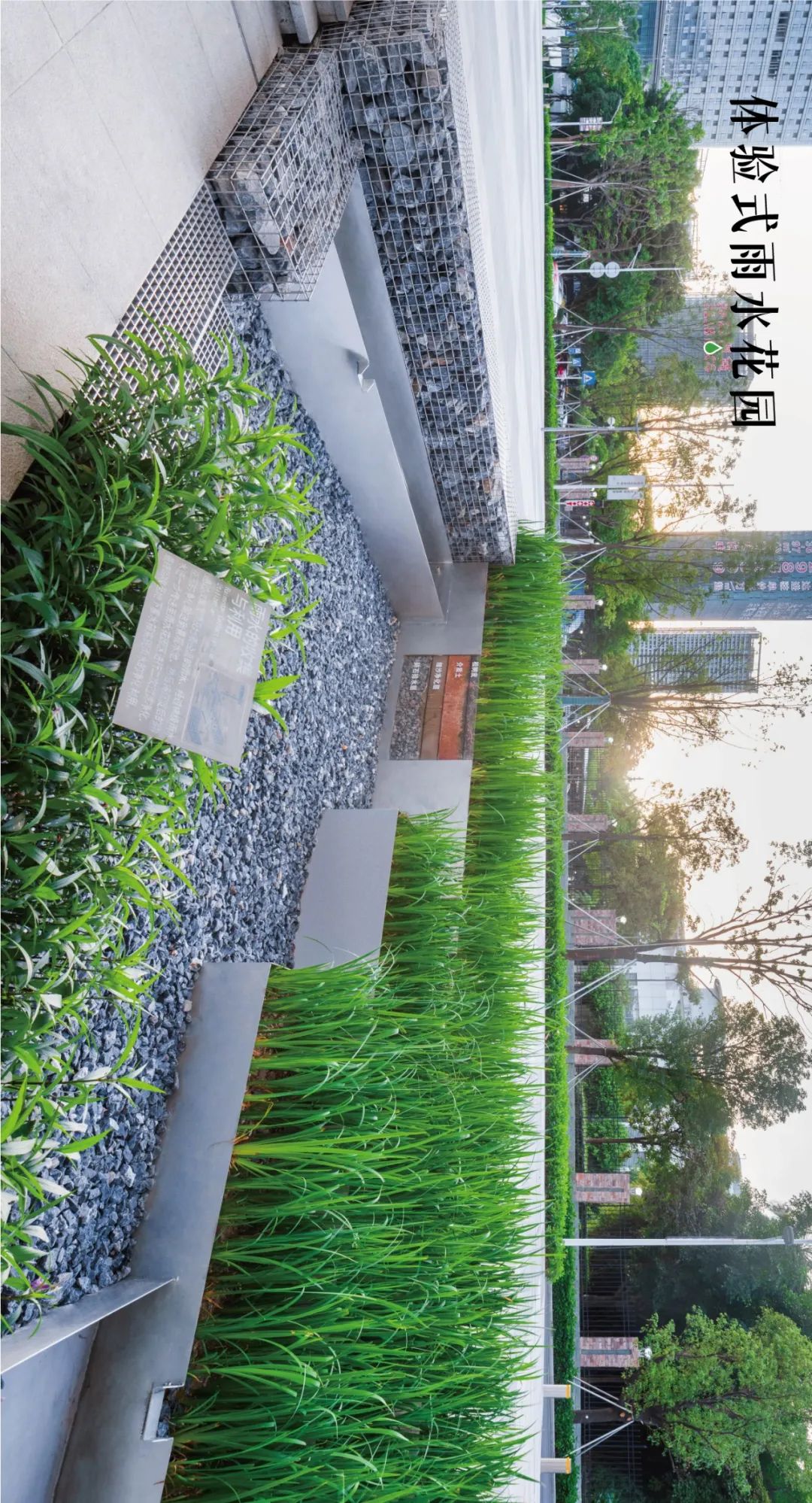 当海绵遇上艺术｜深圳光明文化艺术中心-14