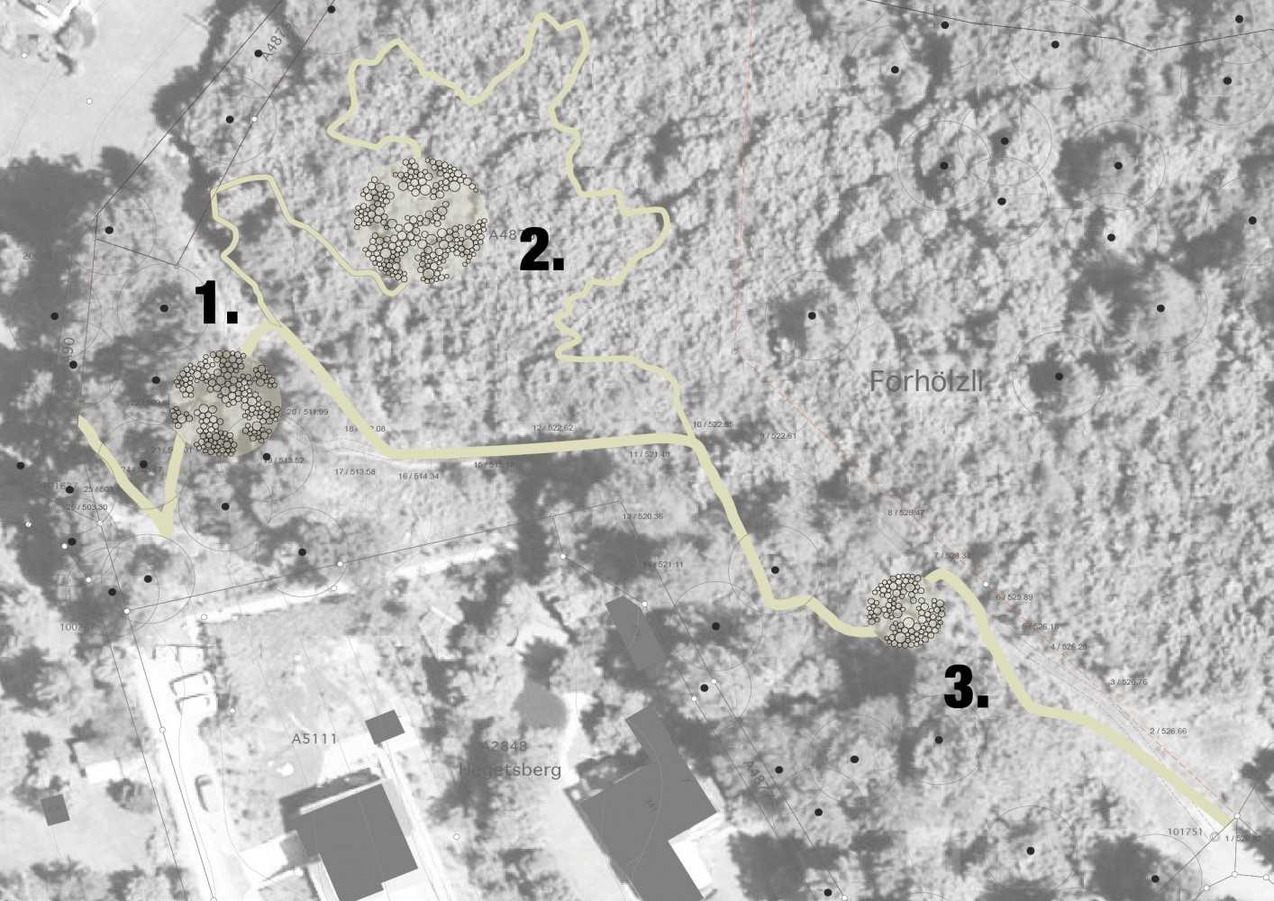 乌斯特市 Wildwood 自然林地广场 | 景观与功能的完美融合-6