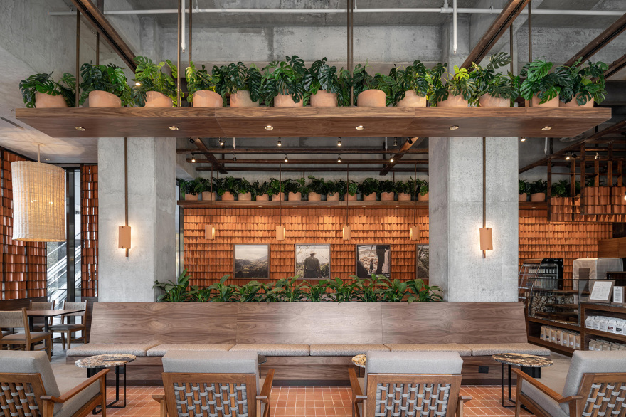 Kali 咖啡馆丨墨西哥丨Concéntrico-11