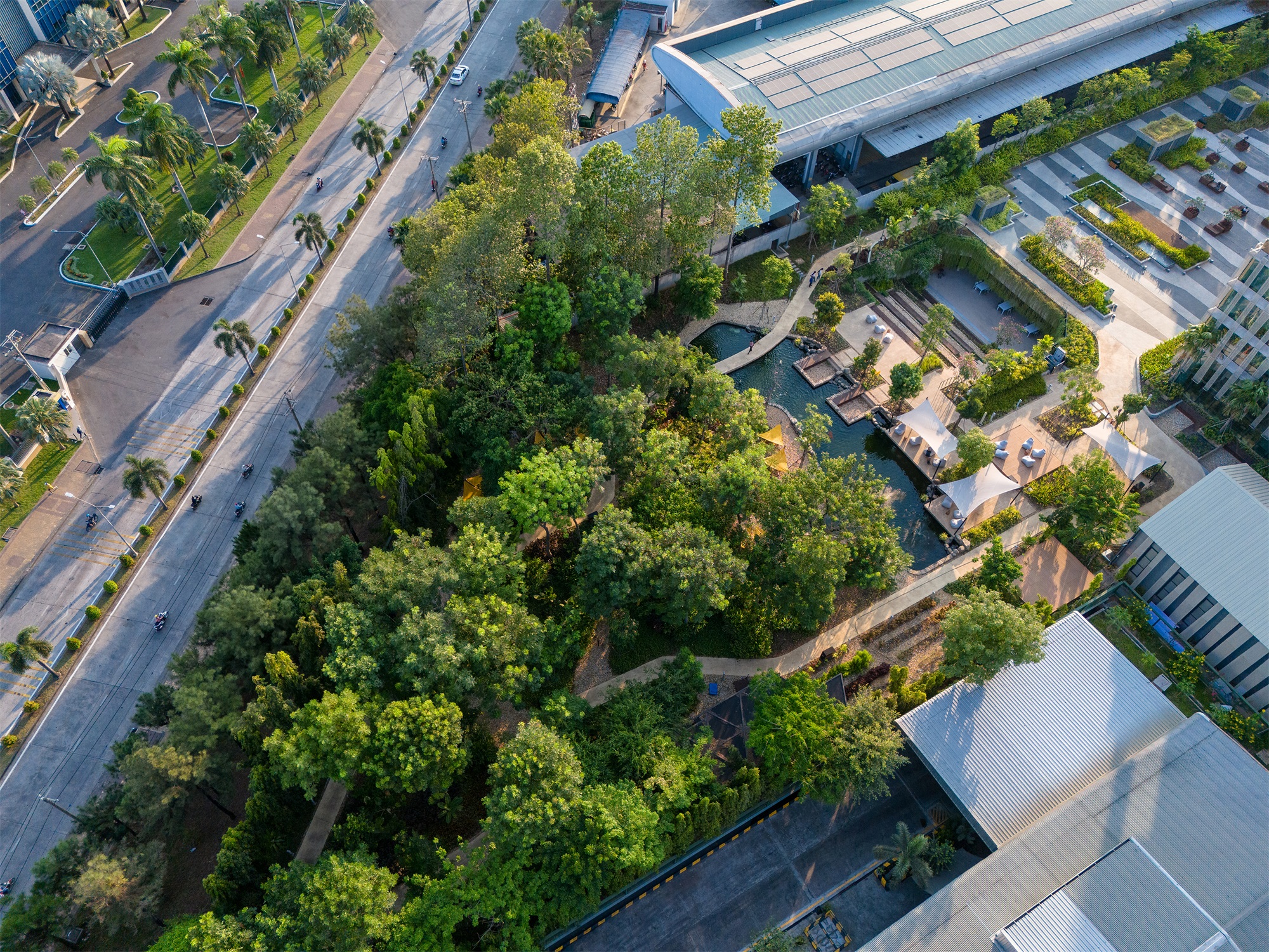 CP 总部园区丨越南丨LJGroup landscape architecture-16