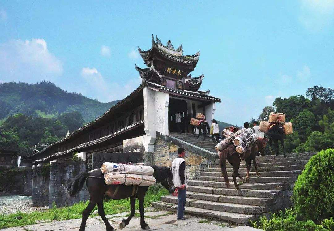 湖南益阳璞轩餐饮空间设计 | 融合山水竹茶文化的现代美学-30