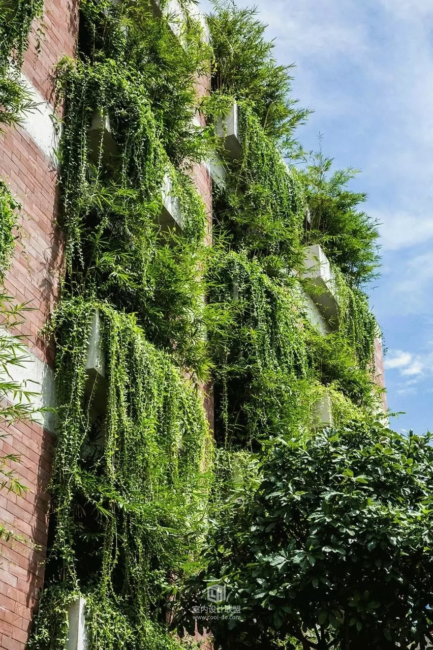 武重义设计——会安 Atlas 酒店-5