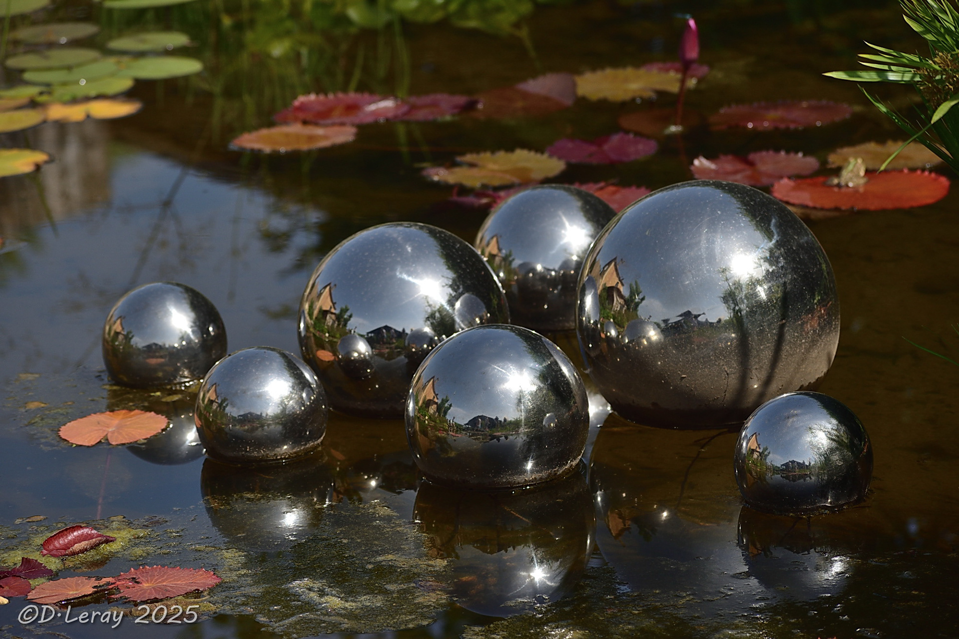Jardins d'eau Carsac Aillac (24)-12