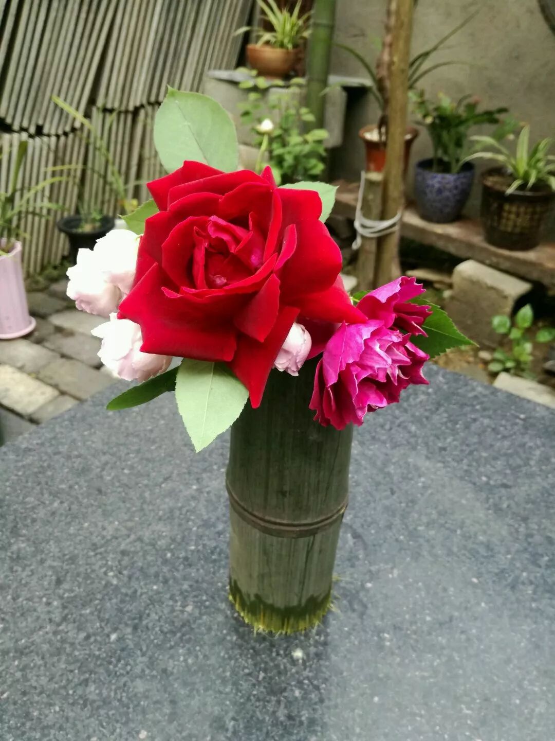 大叔也爱养花，3天造出个小花园，一分钱没花！-73