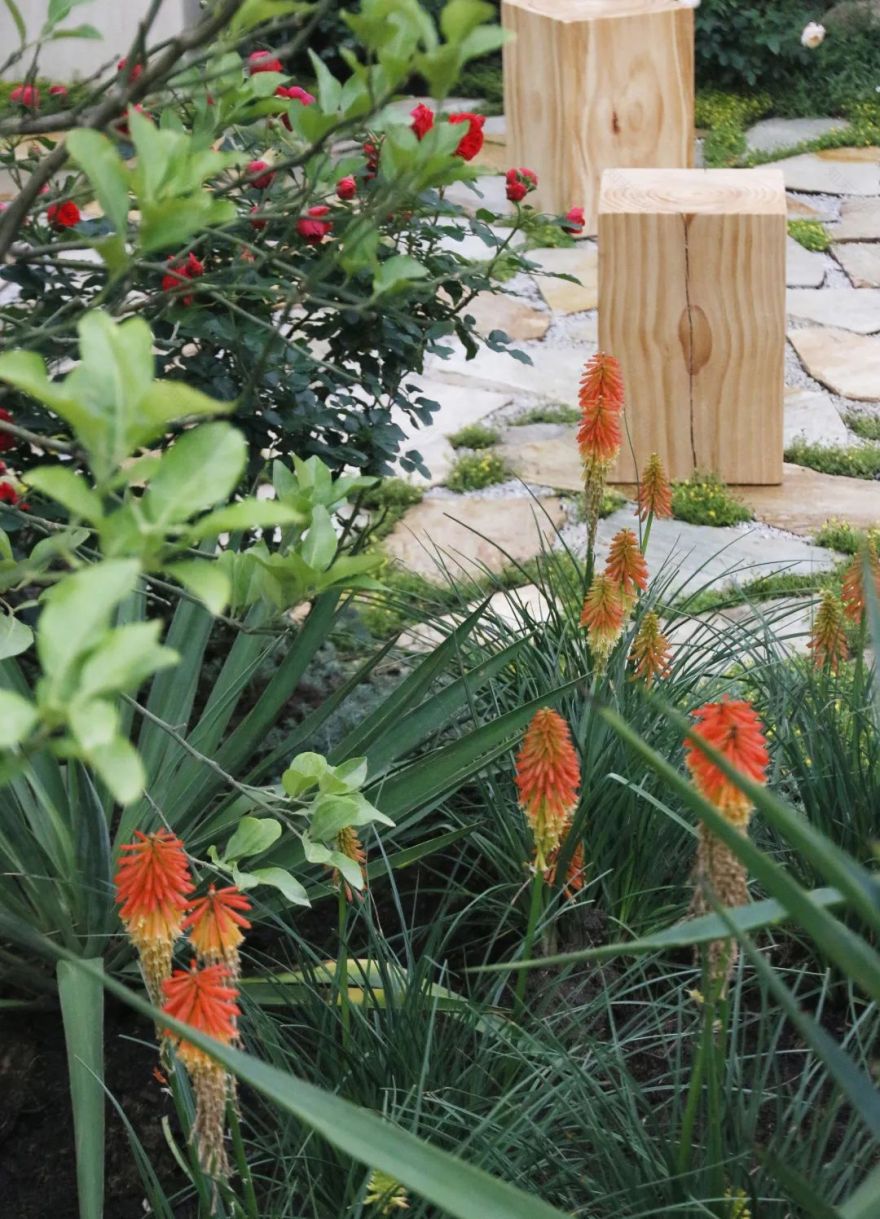 仲夏夜之梦 · 莎士比亚灵感的花园设计丨中国深圳丨Sarah Eberle(英国)-56