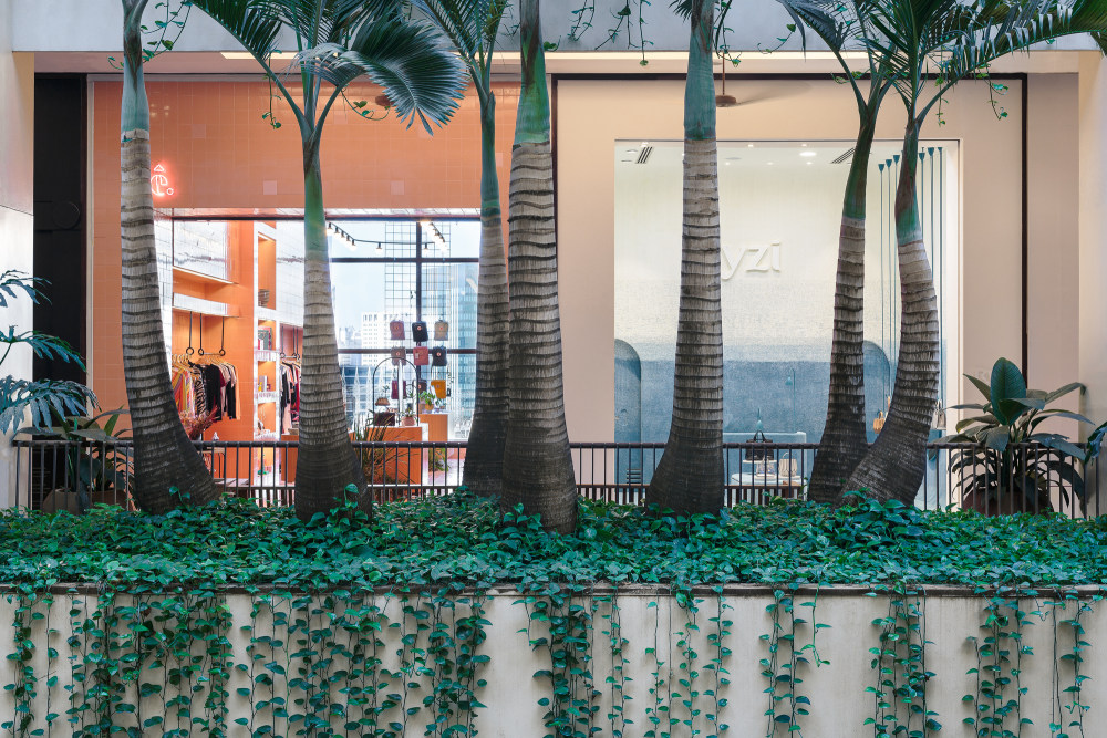 巴西洛贾·里兹专卖店-25