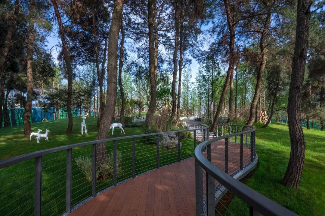 贵阳融创·云麓长林 | 自然之约,心灵之旅-19