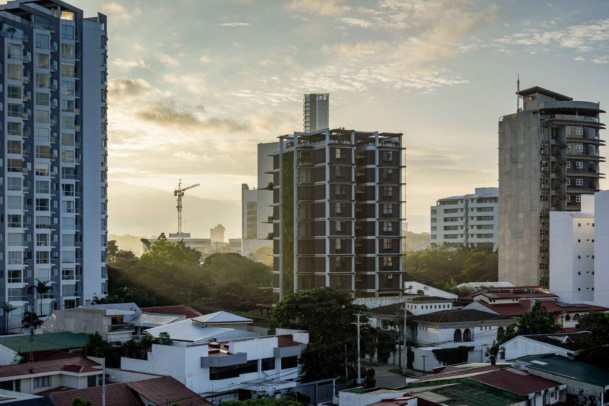 栀子丨哥斯达黎加圣何塞丨Studio Saxe-48