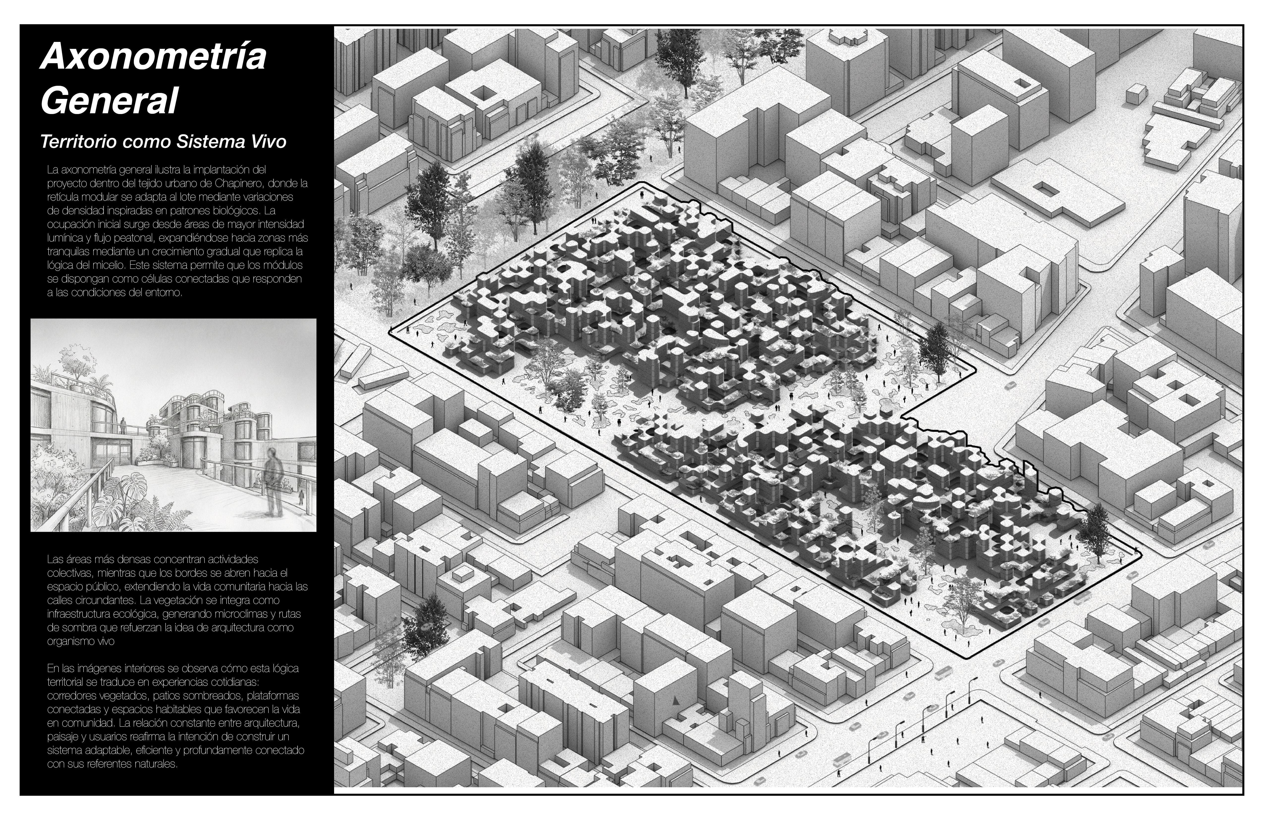PROFUNDIZACIÓN MATERIA GENERATIVA Y FUTUROS AGREGADOS-2