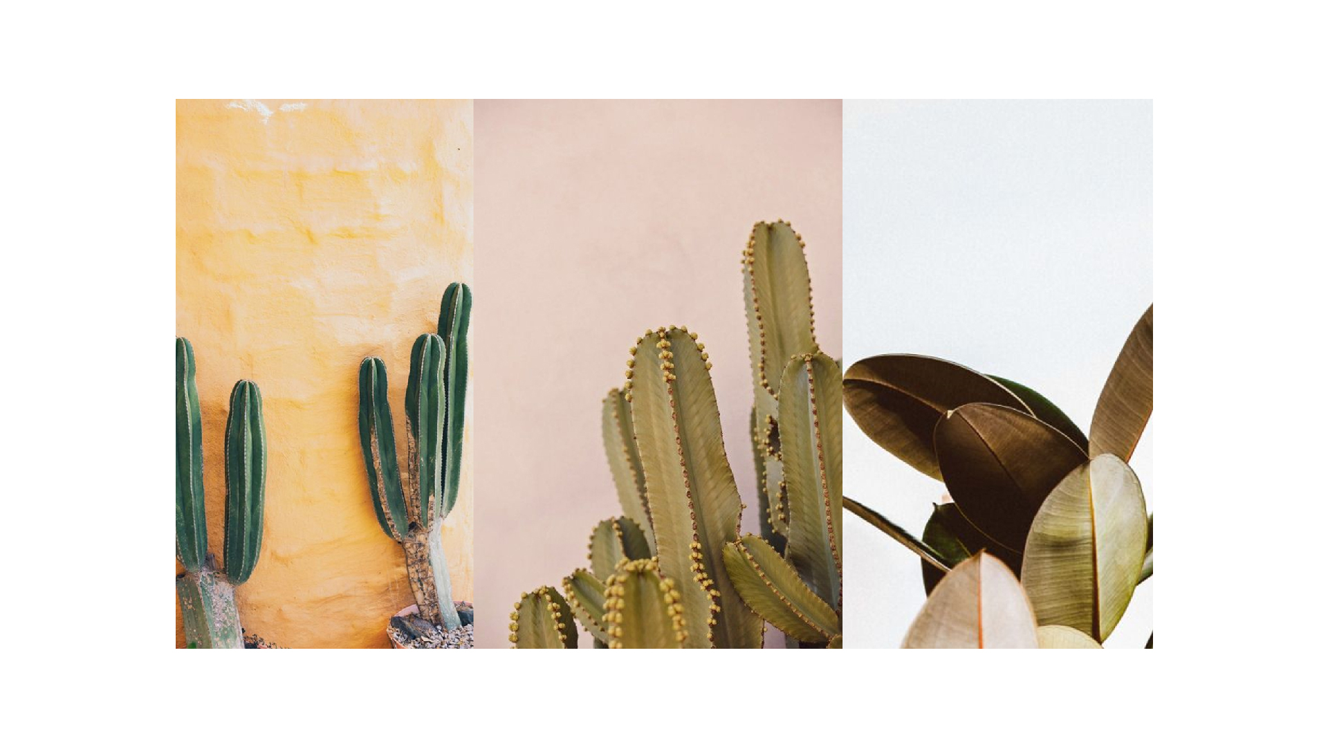 HUN混果汁 餐饮空间设计-9