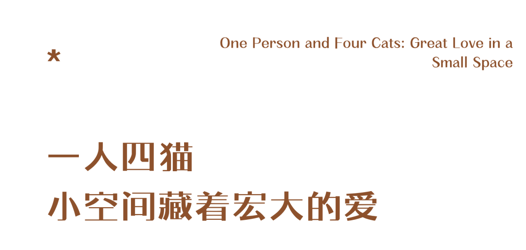 44㎡的治愈宇宙：一人四猫的共生乐园，小户型里的极致温柔-148