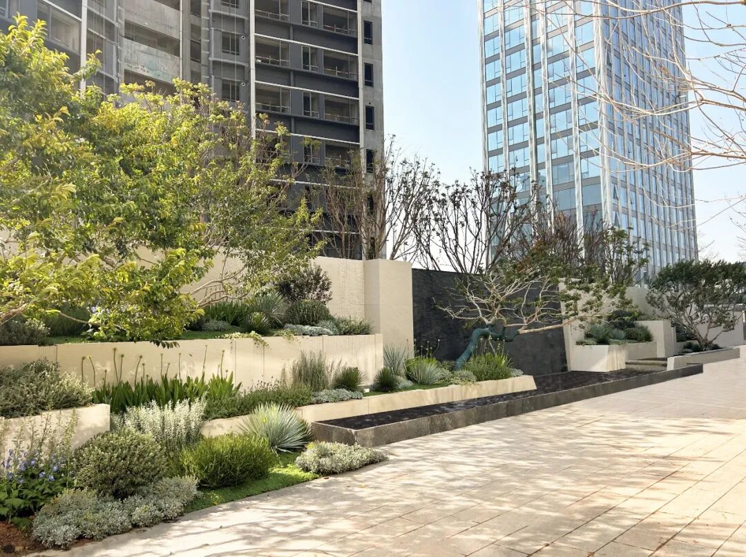 珠海华润银行总部丨海岸边的花园-35