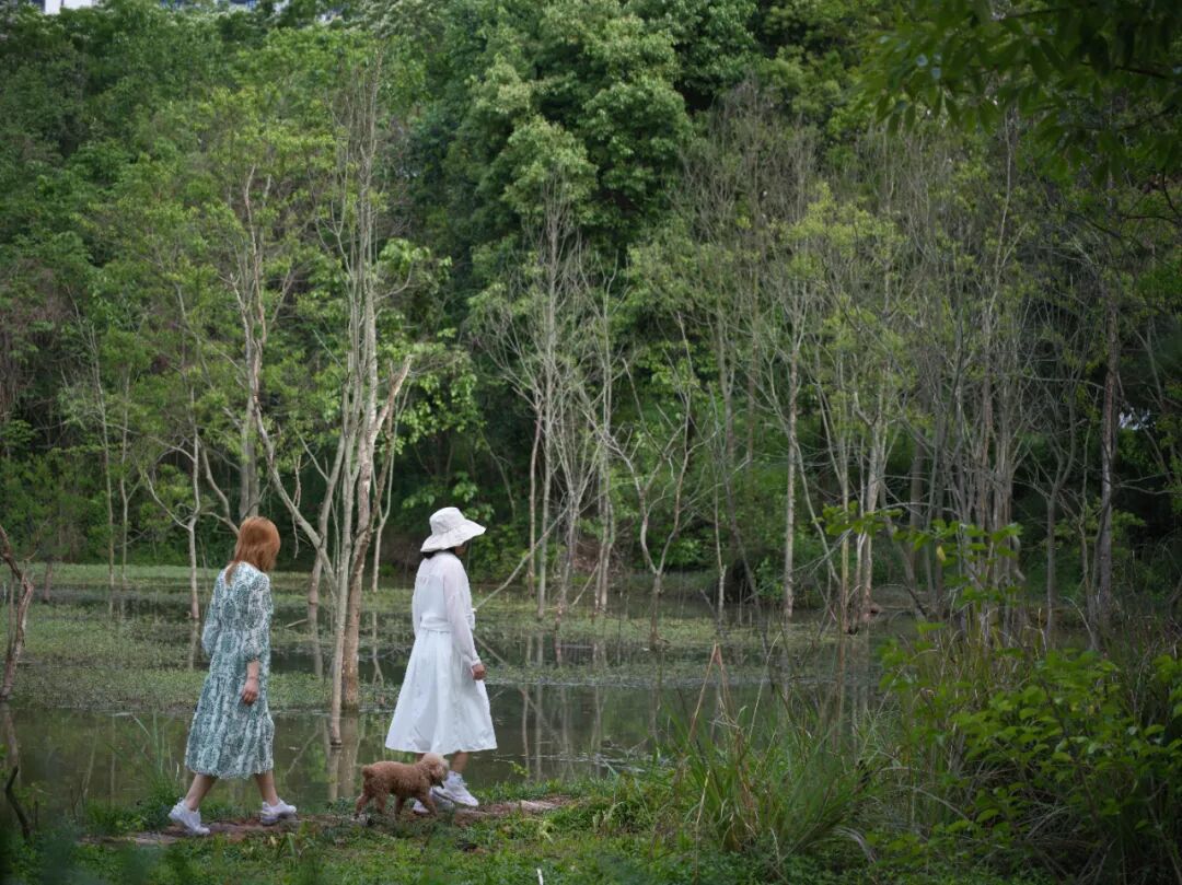 城市掌心的生态山野——麓野公园-191