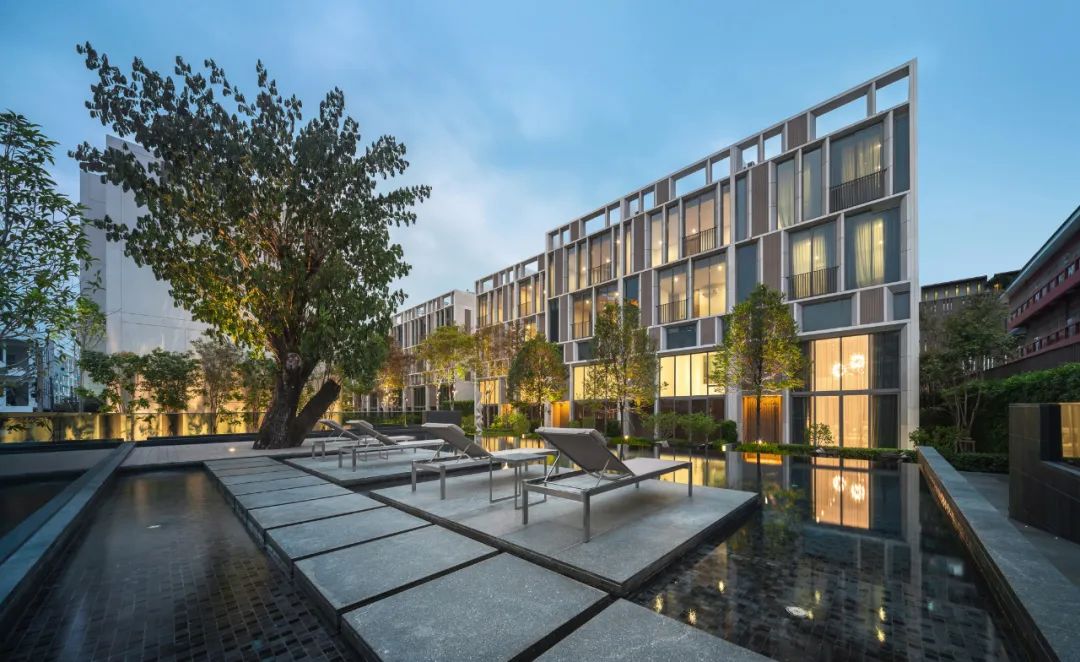 曼谷 Quarter 39 别墅景观 | 阶梯植栽与历史古树共生的绿色家园-24