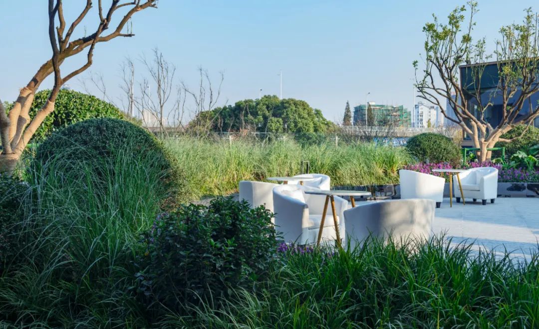 城市森林寻宝之旅丨常州蓝光·水镜云钻-72