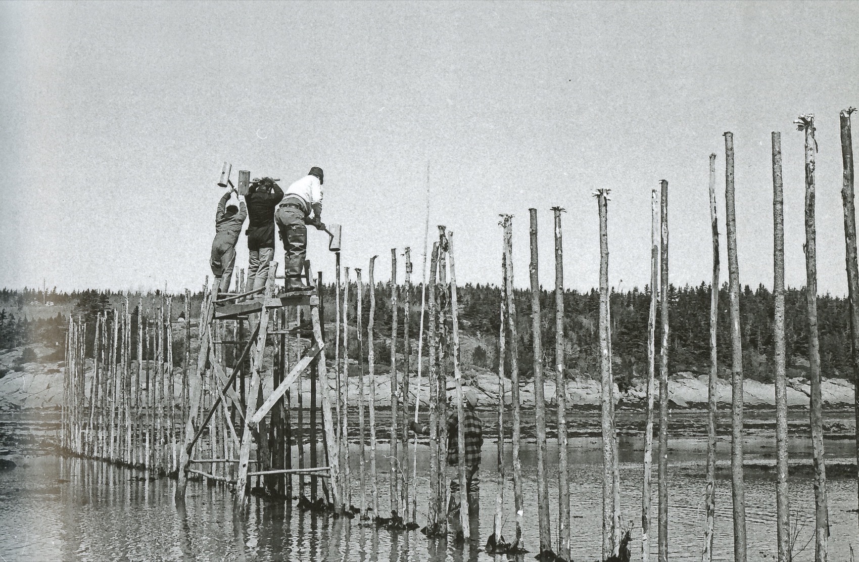 与绿岛居民共创的“烟熏屋”临时装置丨加拿大丨Atelier Pierre Thibault-23