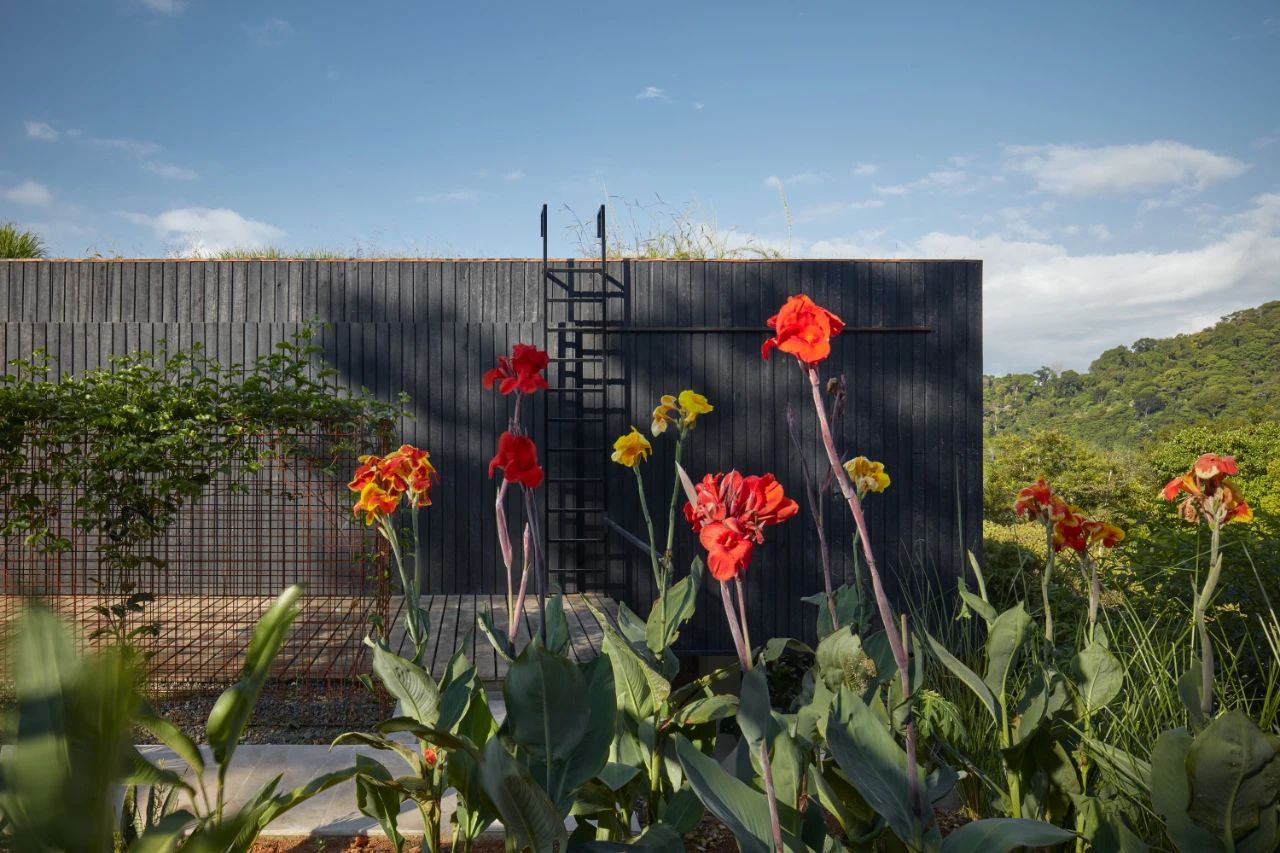 哥斯达黎加丛林中的艺术度假天堂-58