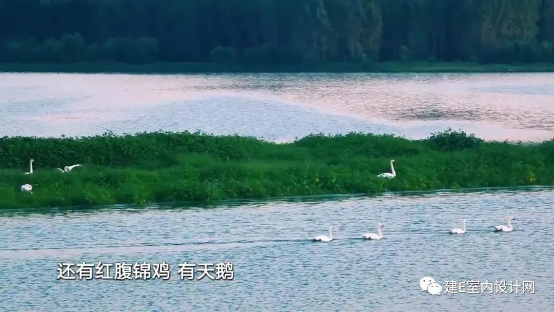 《梦改》孙华锋 | 古村窑洞重生,打造游客心中的“诗和远方”-6