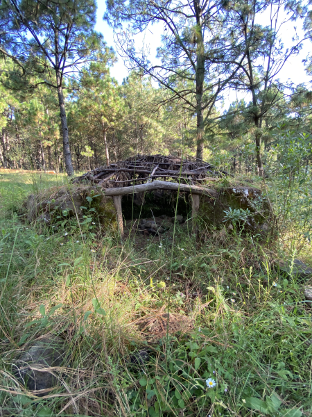 丨墨西哥丨未明确提及-49